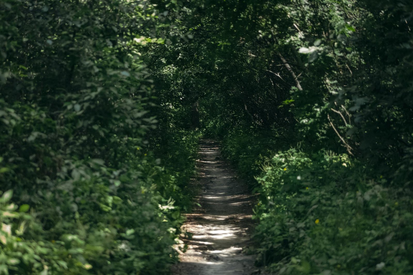 Mid-Year Reset: Hit Pause & Realign